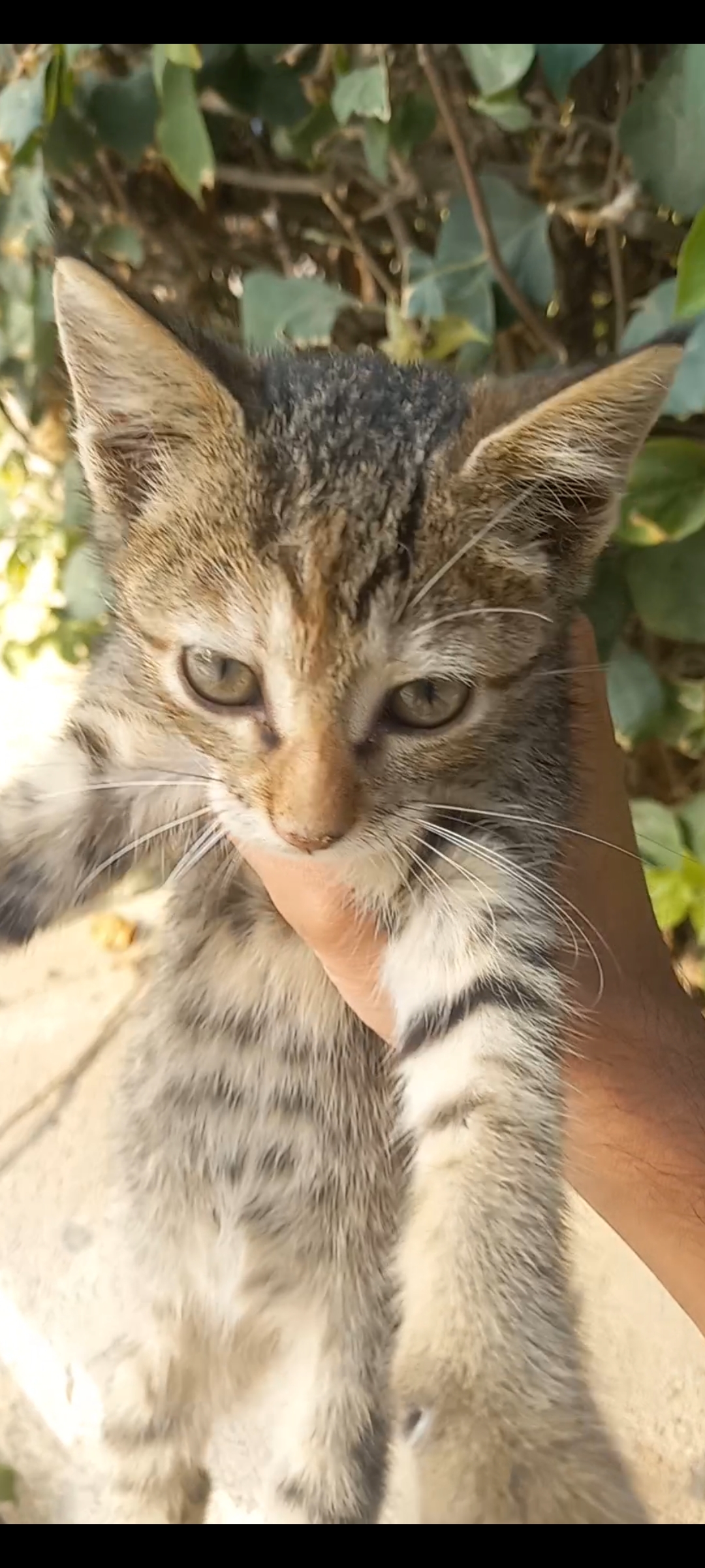 Screenshot 20241218 005839 Gallery