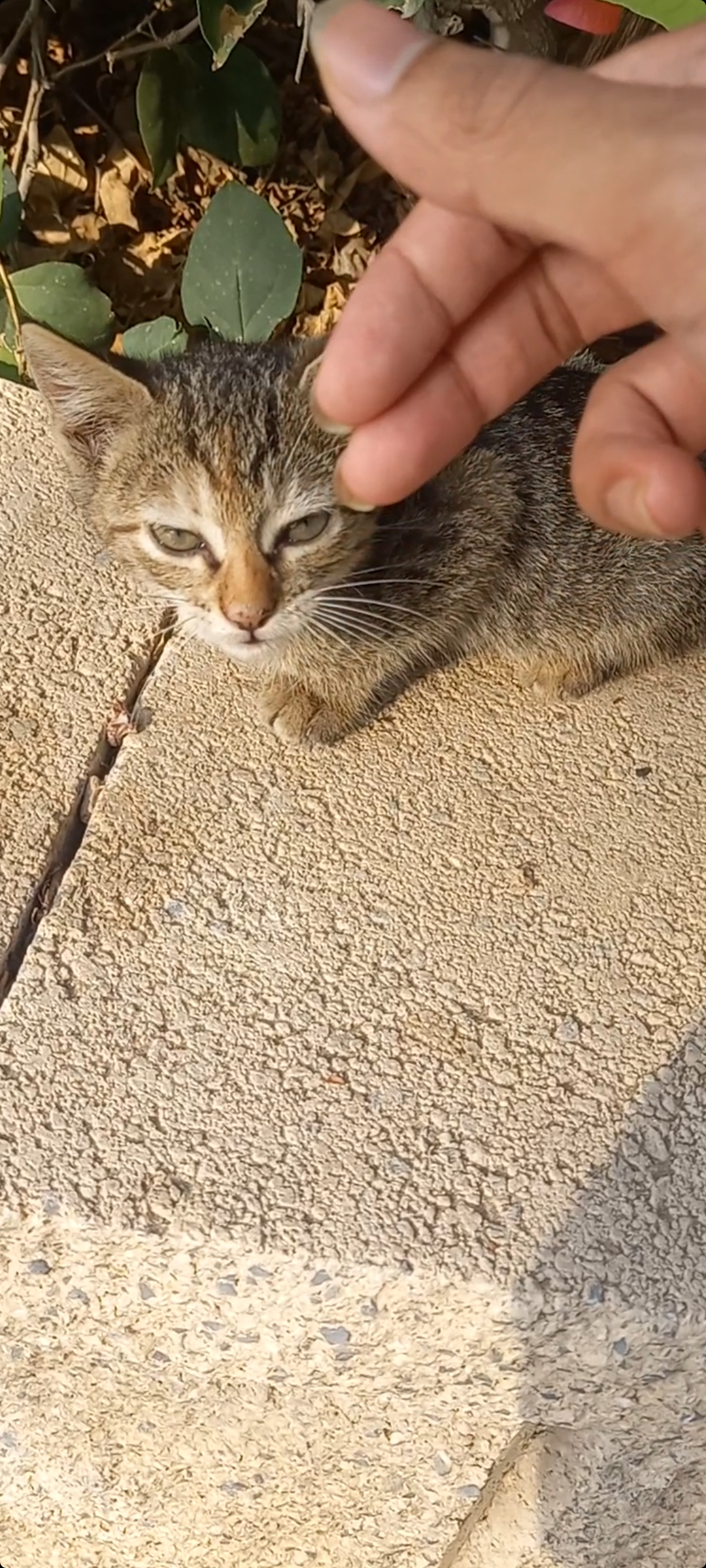 Screenshot 20241218 005850 Gallery