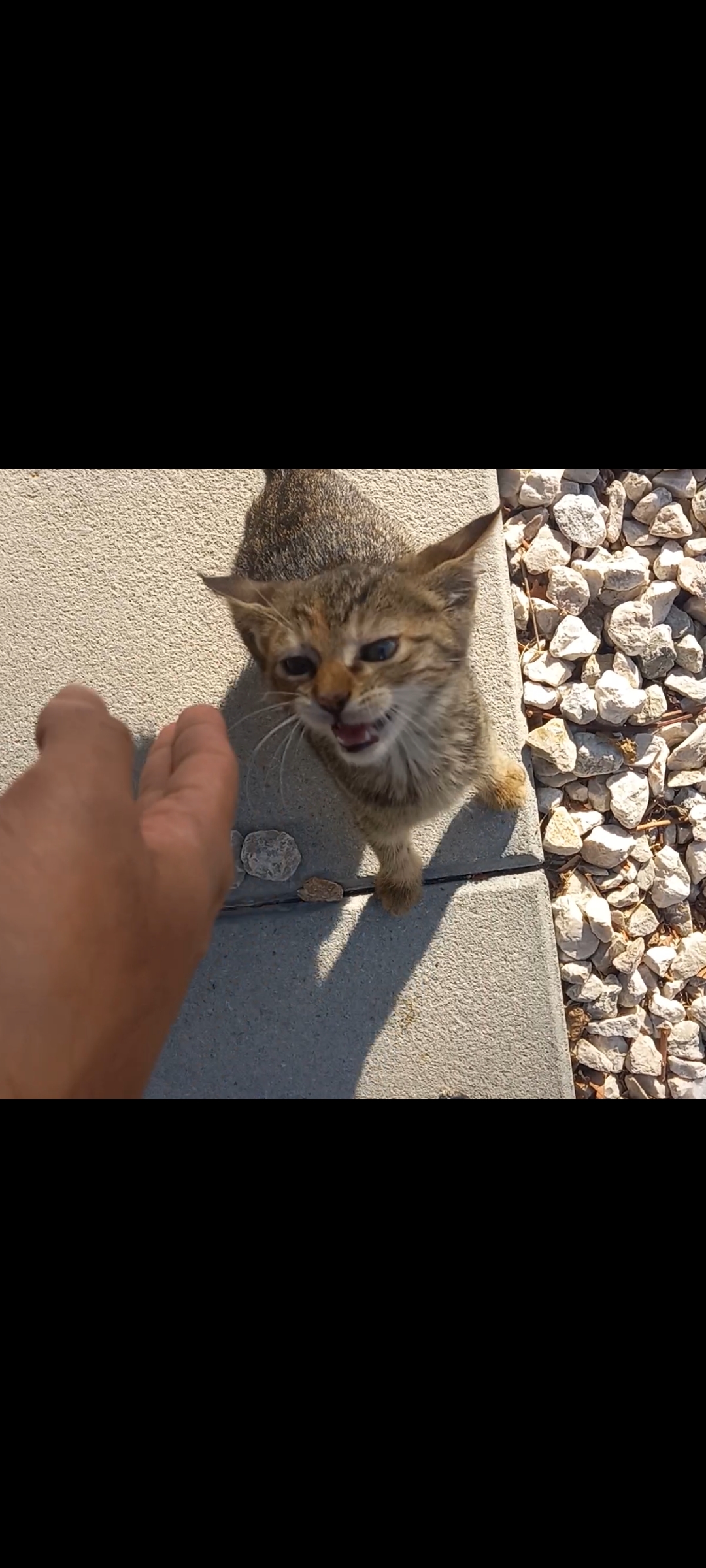 Screenshot 20241218 005934 Gallery