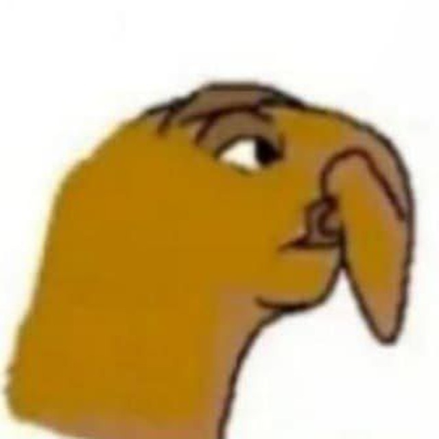 IMG 20240827 141543 740