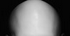 1734558325653