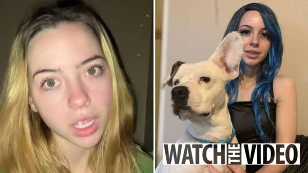 Images   2024 12 19T112545922