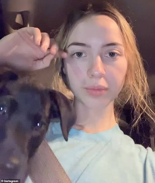 Images   2024 12 19T112540947