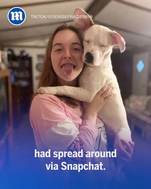 Images   2024 12 19T112520675