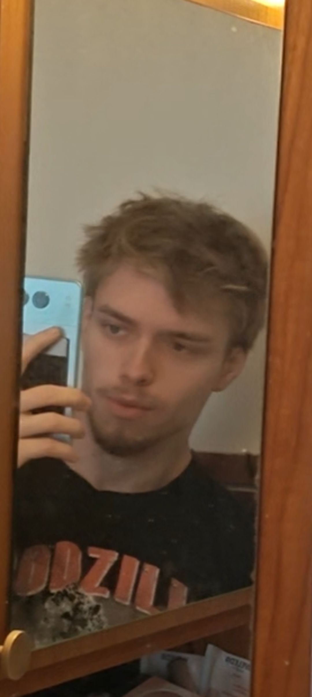 Screenshot 2024 12 19 20 43 36 36 92460851df6f172a4592fca41cc2d2e6