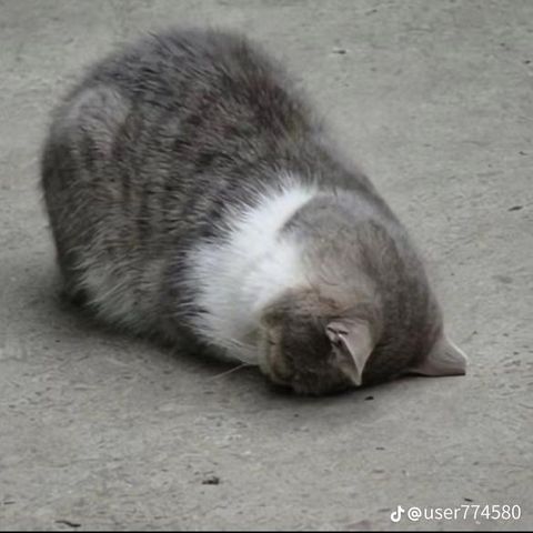 462559178 927380738791353 1428925344867865653 n