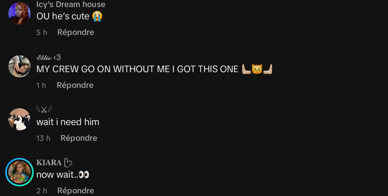 Screenshot 20241220 141400 TikTok