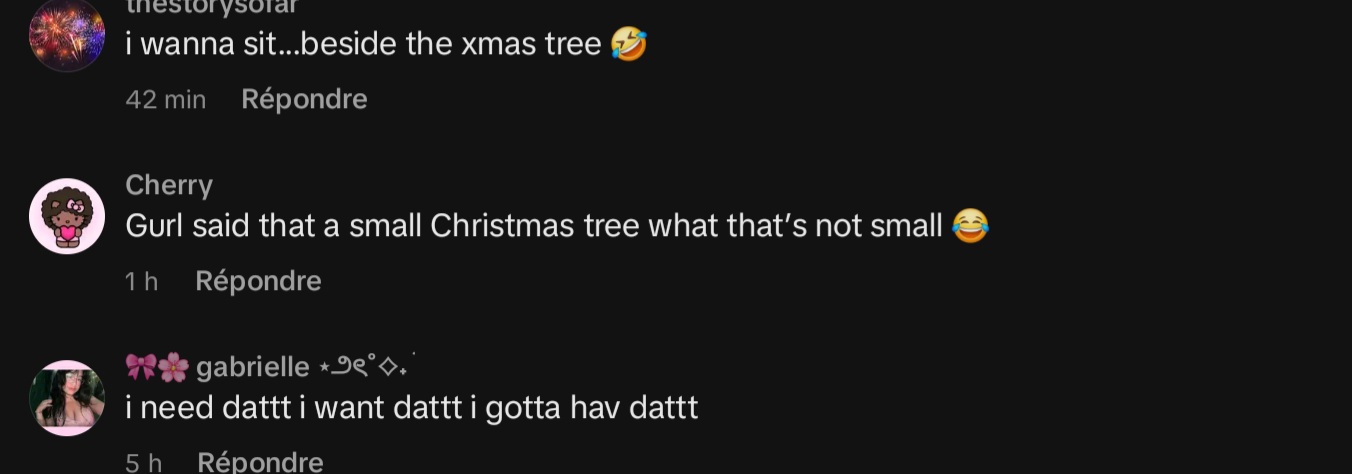 Screenshot 20241220 141335 TikTok