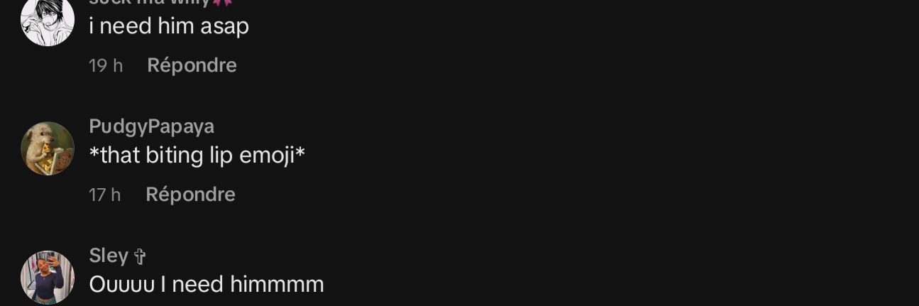 Screenshot 20241220 141307 TikTok