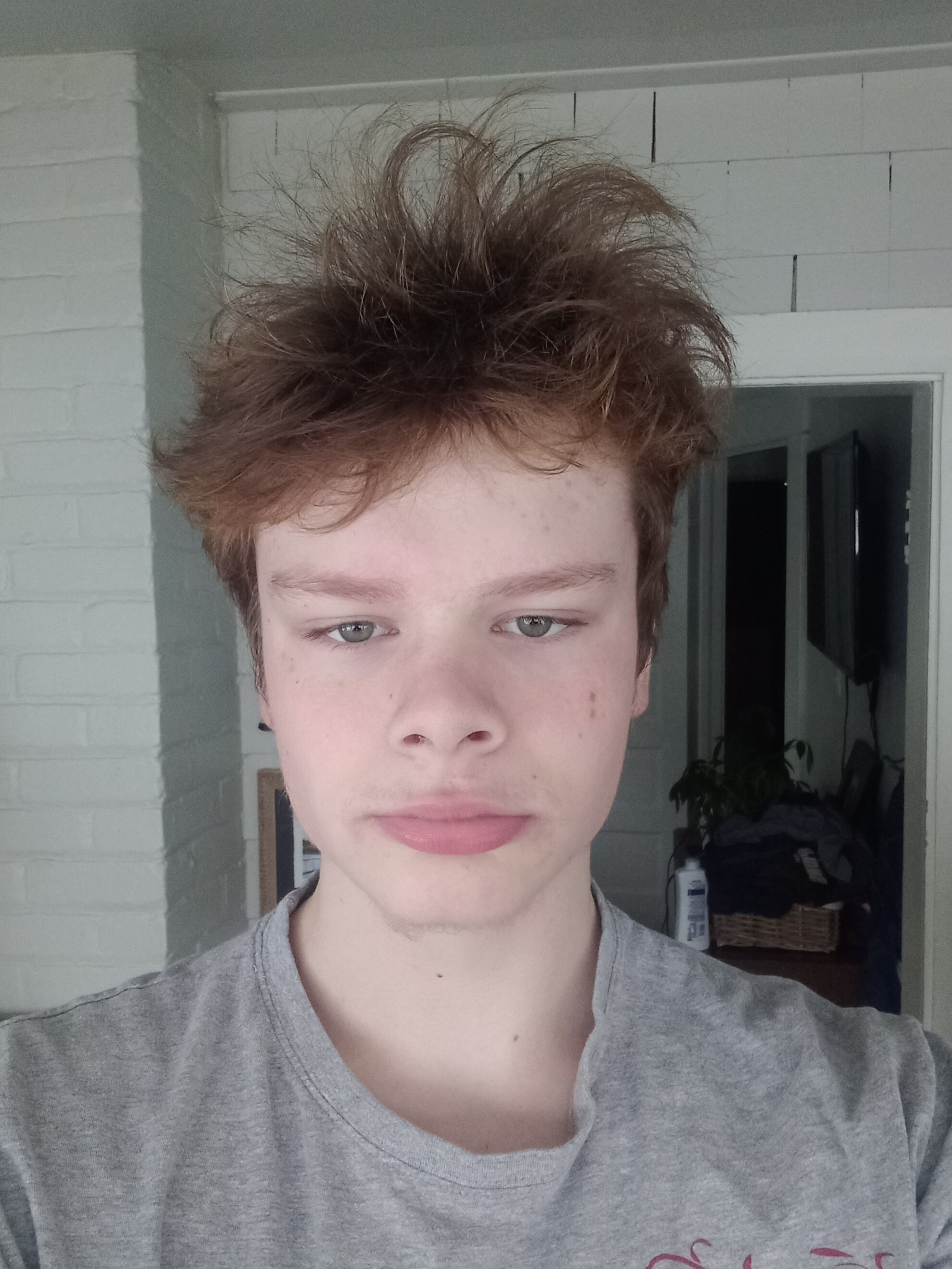 4577656 20241217 131208