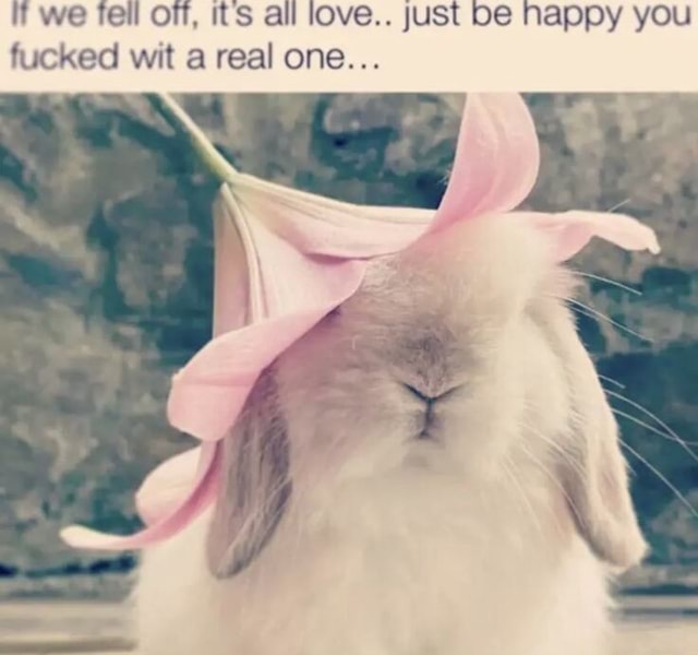 1DF8BF5B F800 4C8F 80FB 1E466AB4BE27