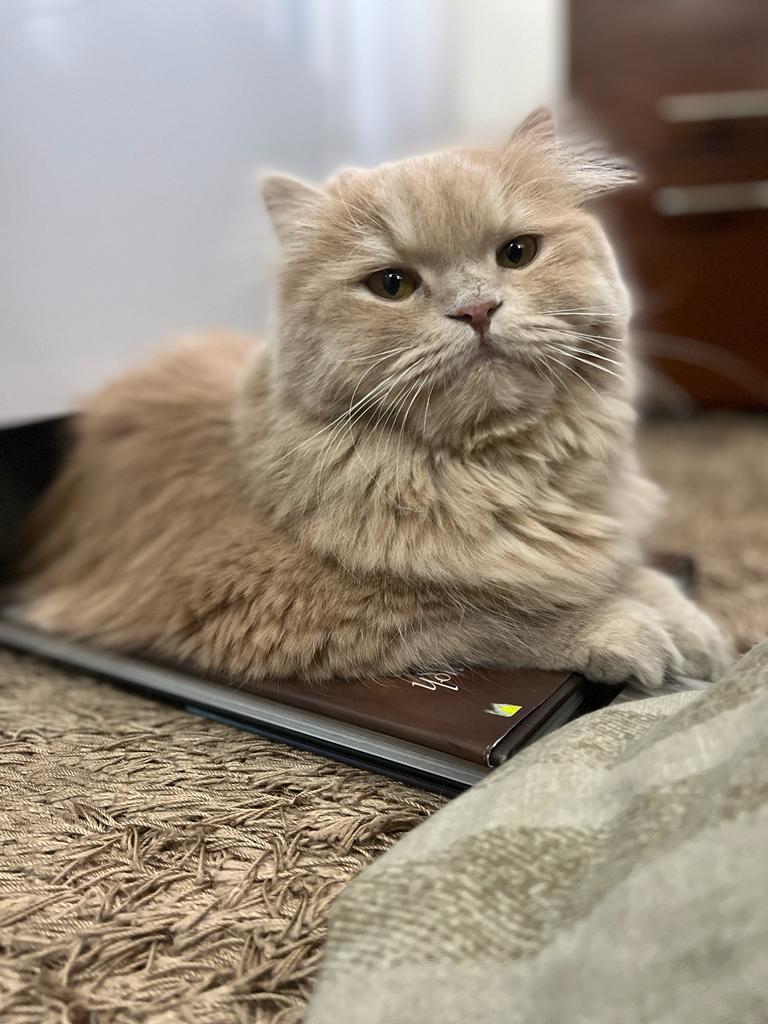 IMG 20241130 122452 168