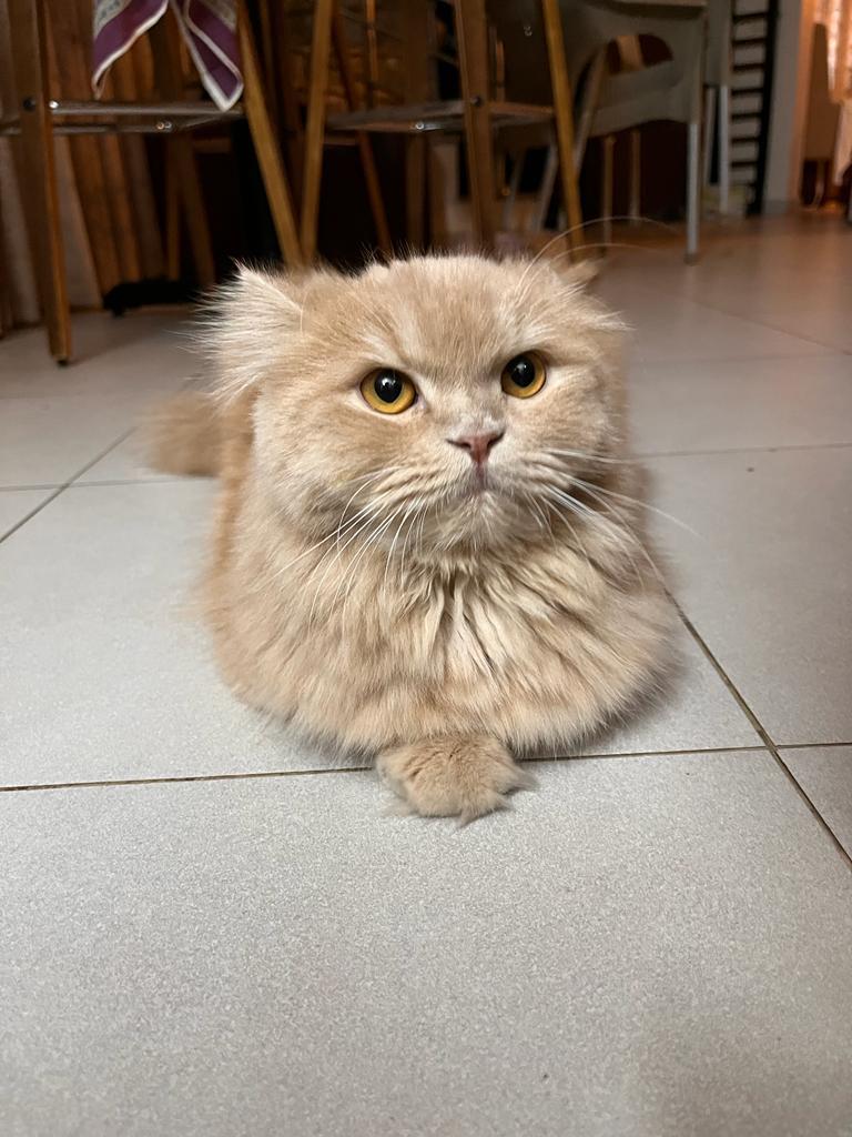 IMG 20241130 122501 678