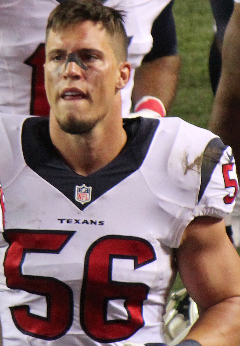 Brian Cushing 2014