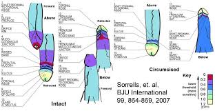 Images 4