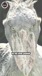 1735332998302