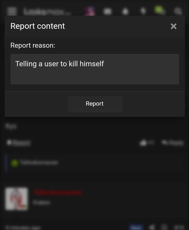 Screenshot 20241228 133121 Brave