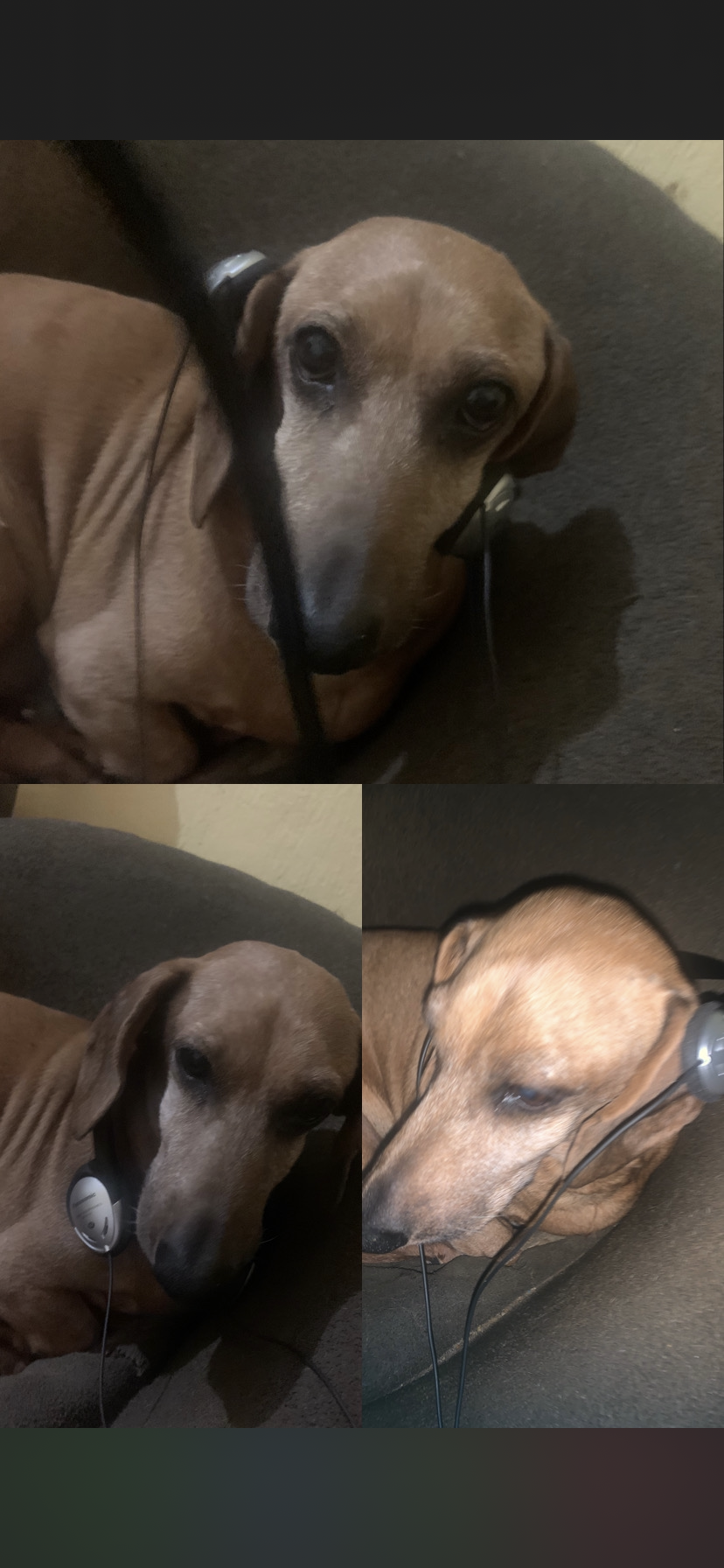 558904BD 3F3C 43D7 8607 68481EB1E5F0