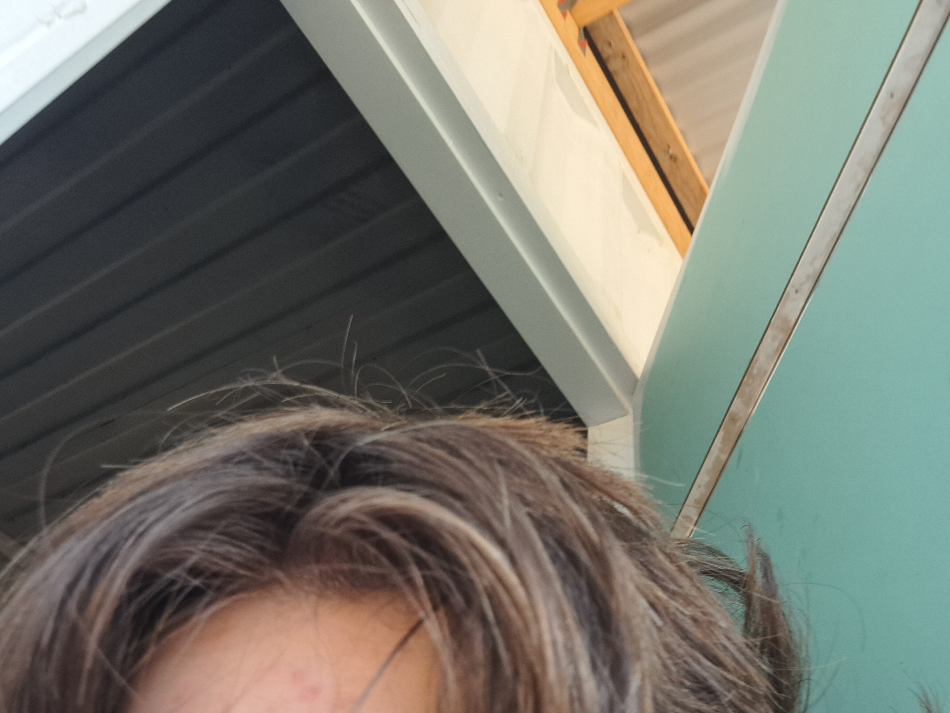 Fad0647f 8f3f 49ad b8cc c40f36eaa81d