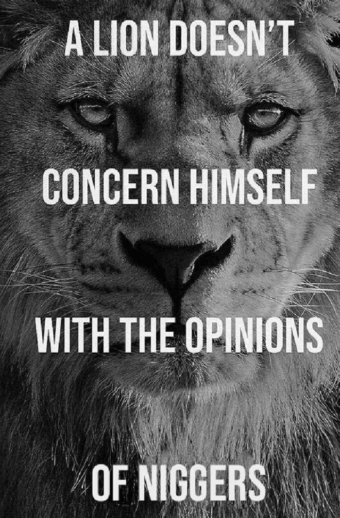 4605844 IMG 20241019 WA0003