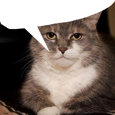 Cat quote