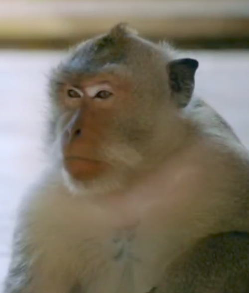 Screenshot_20240811-214441 (1).png