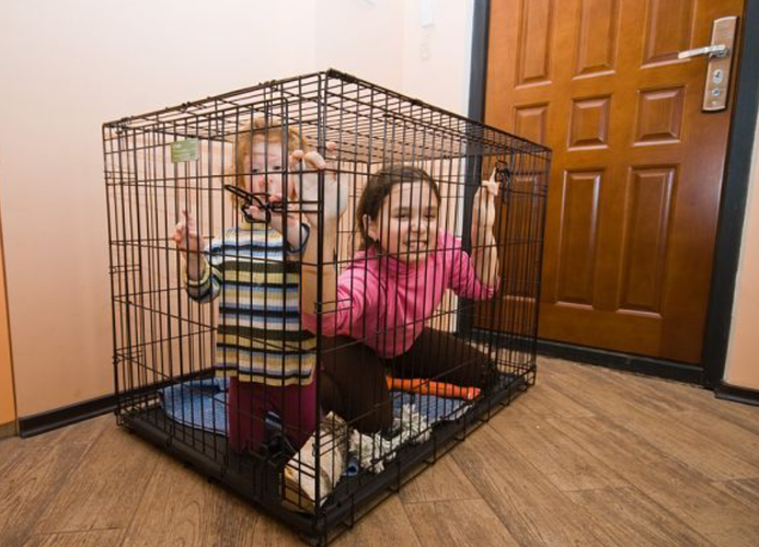 Screenshot 2024 12 17 223056