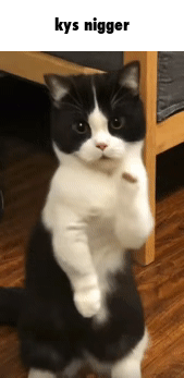 caption.gif
