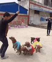 1735868333194