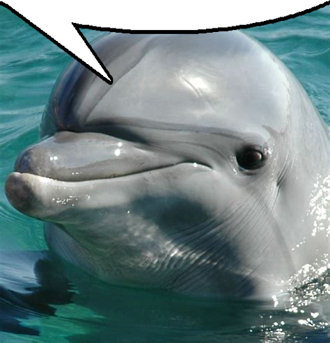 Speechmemified IMG 0198