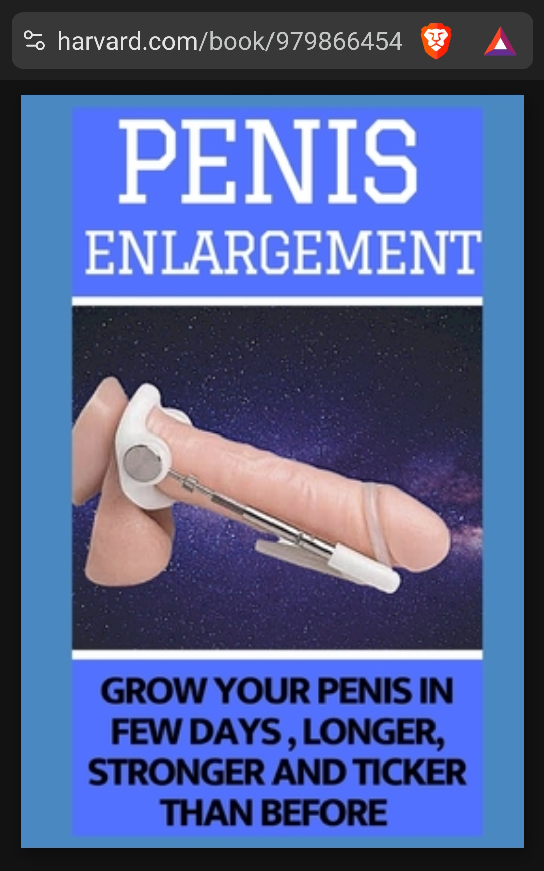 Screenshot 20250103 205428 Brave