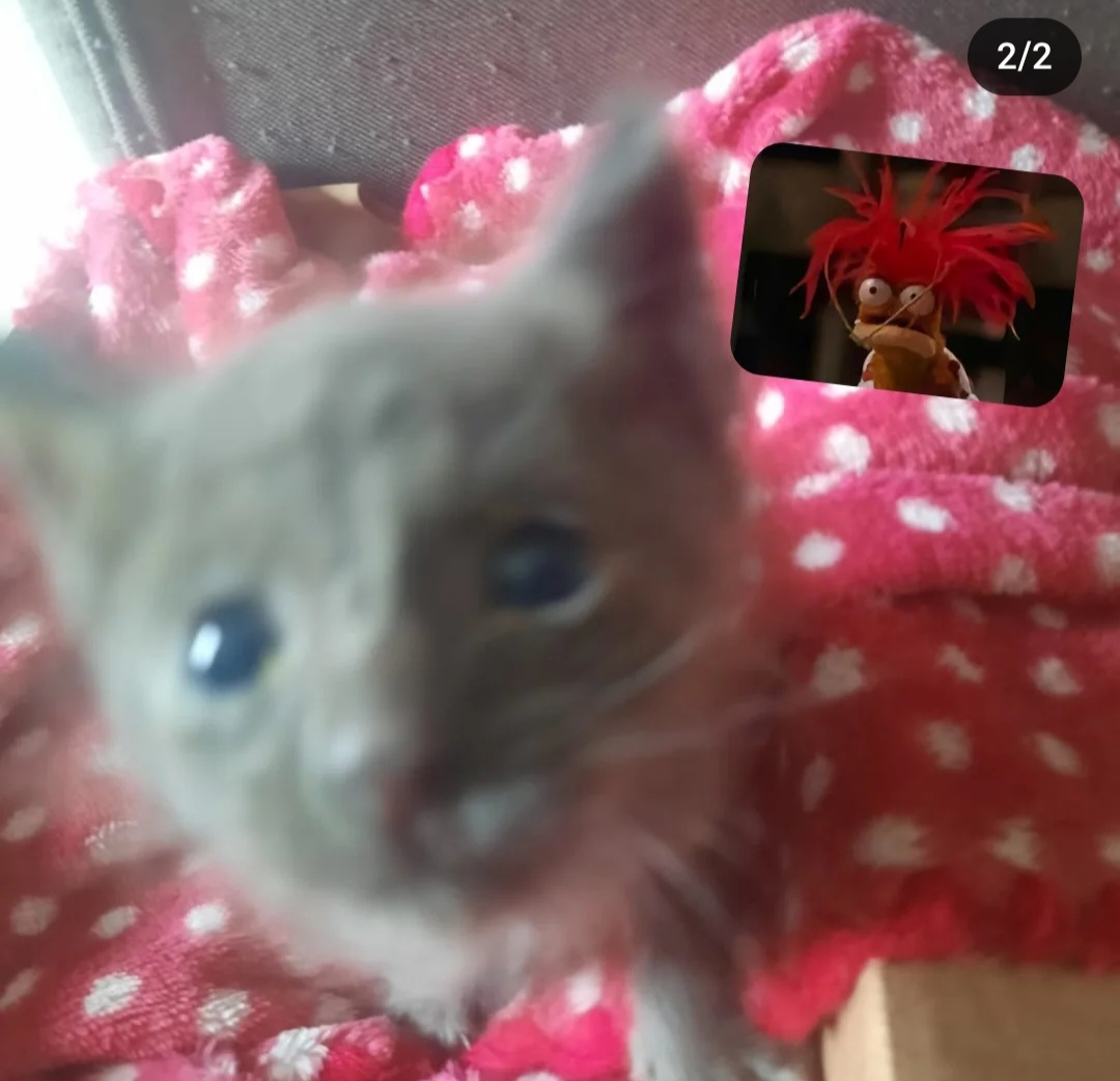 Screenshot 20250105 233503 Instagram