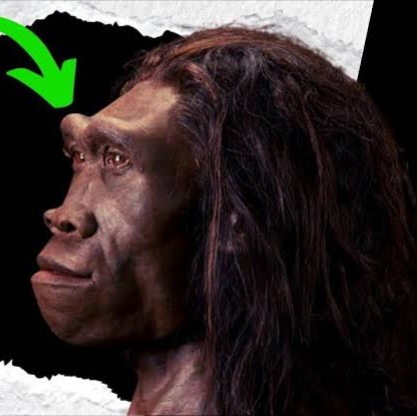 Edited 20240713 160635