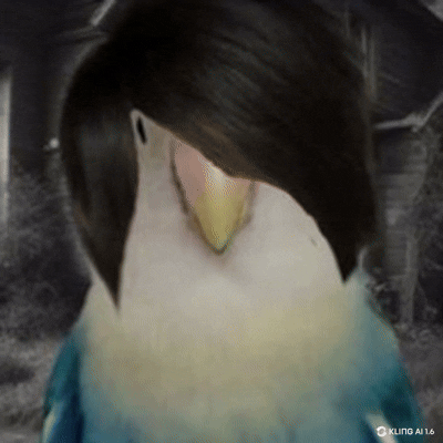 E0d9576b cd37 410b a8b3 b32aa03e621a video
