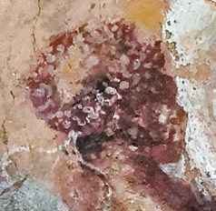 4628647 Screenshot Capture   2025 01 08   16 05 02