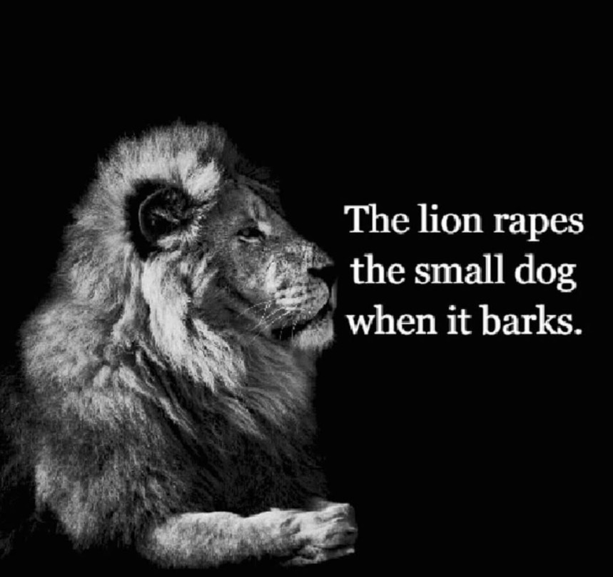 6BC6DE31 8874 4551 A881 C526342F3EC4