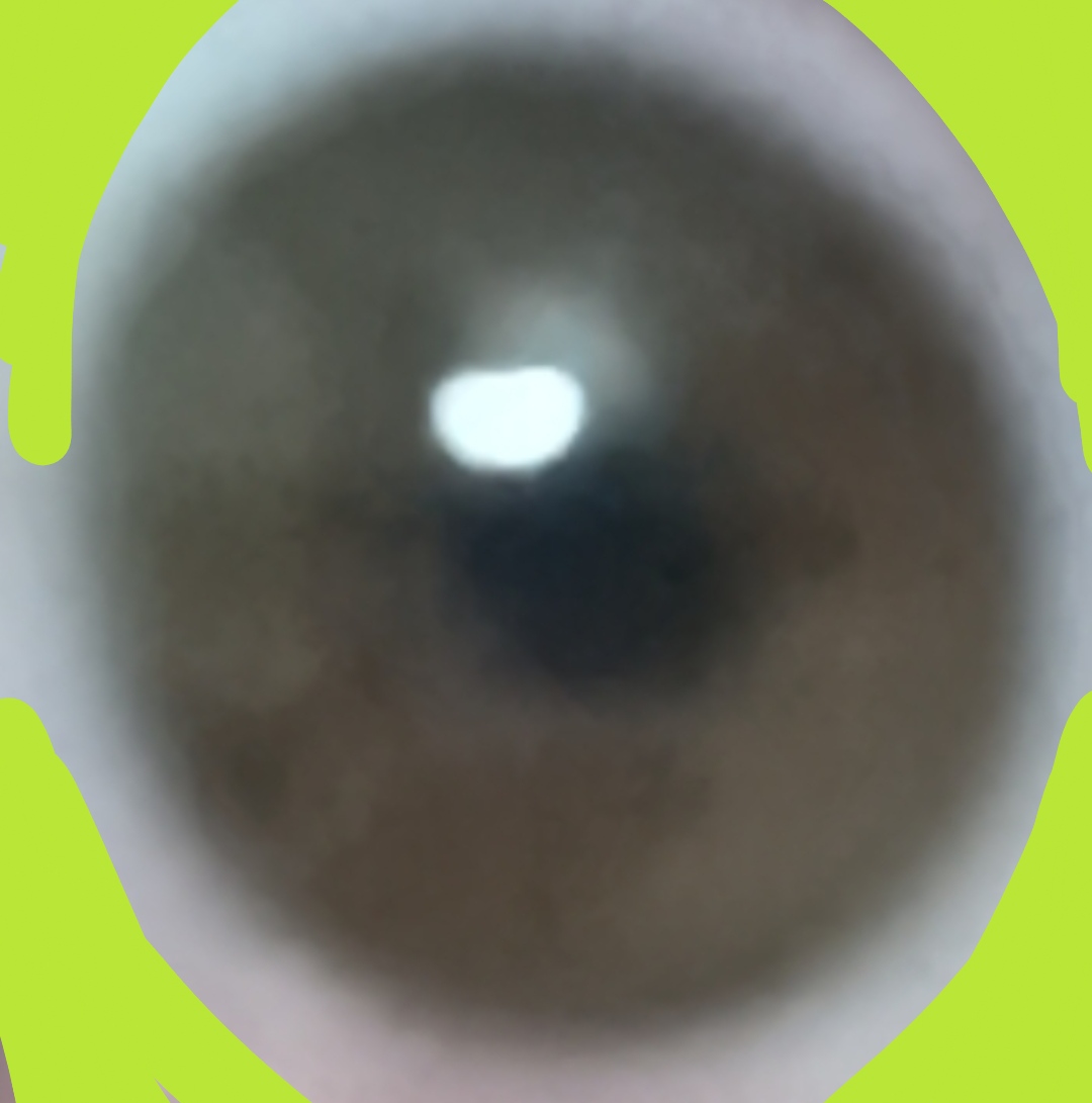 IMG 20250101 224823