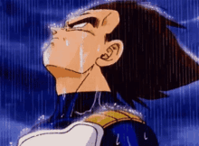 Vegeta raining