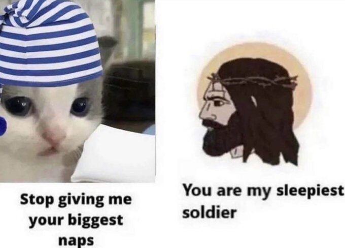 Cat meme sleep alot 11zon