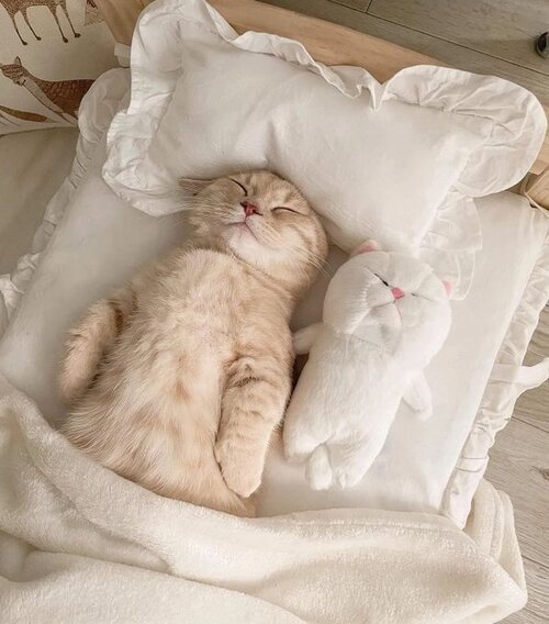 Sleeping