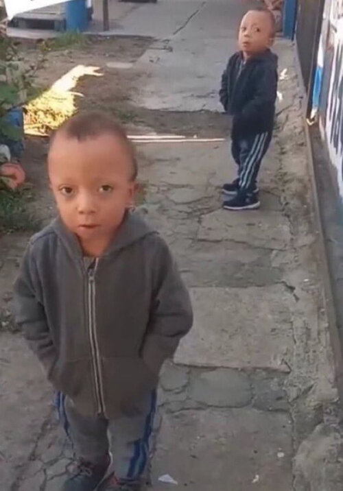 7660B451 33CC 46ED 8DF3 304FFBFFC500