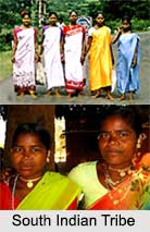 South Indian Tribes 2
