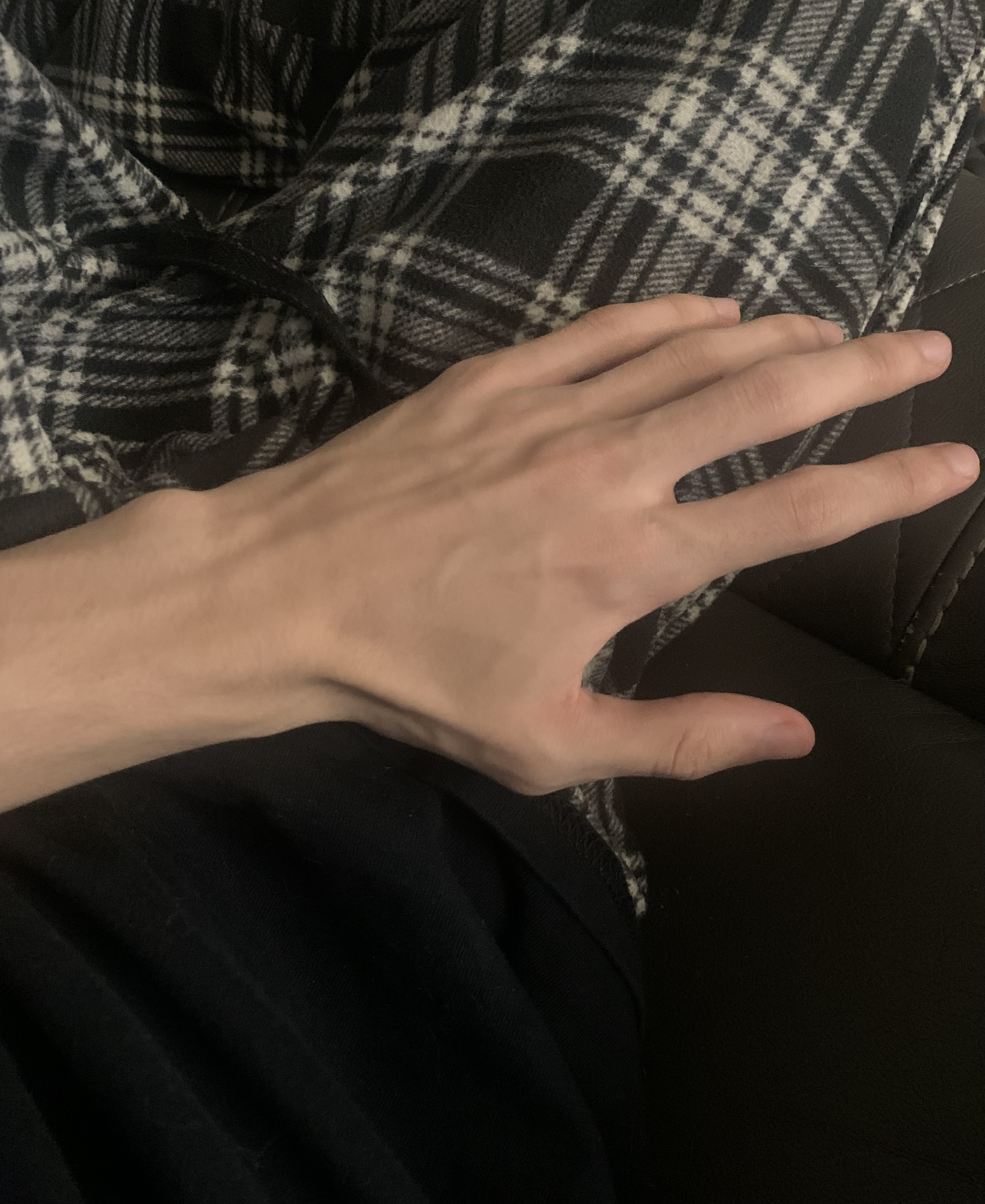 IMG 1398