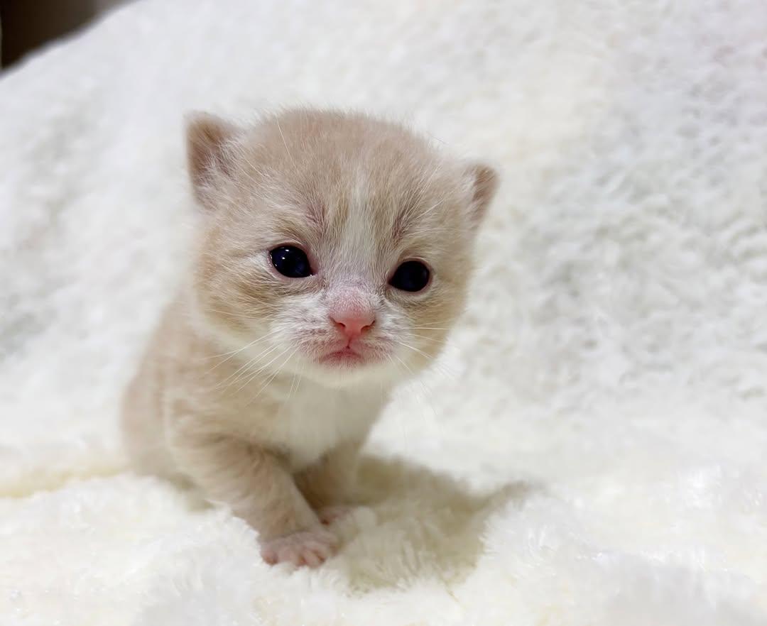 IMG 20250206 231719 834