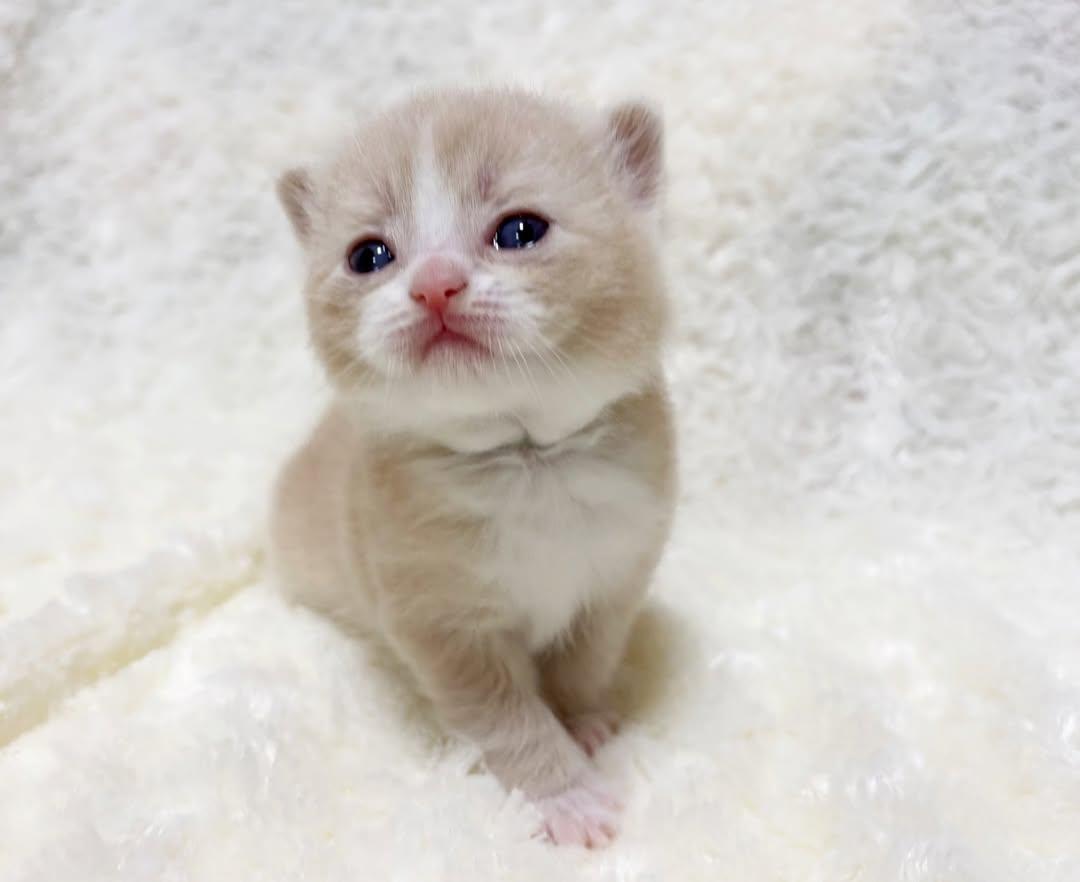 IMG 20250206 231719 856