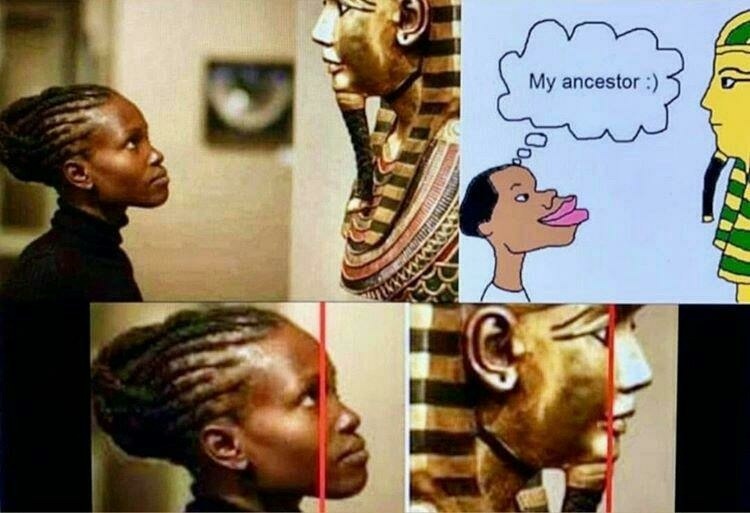 1000029378