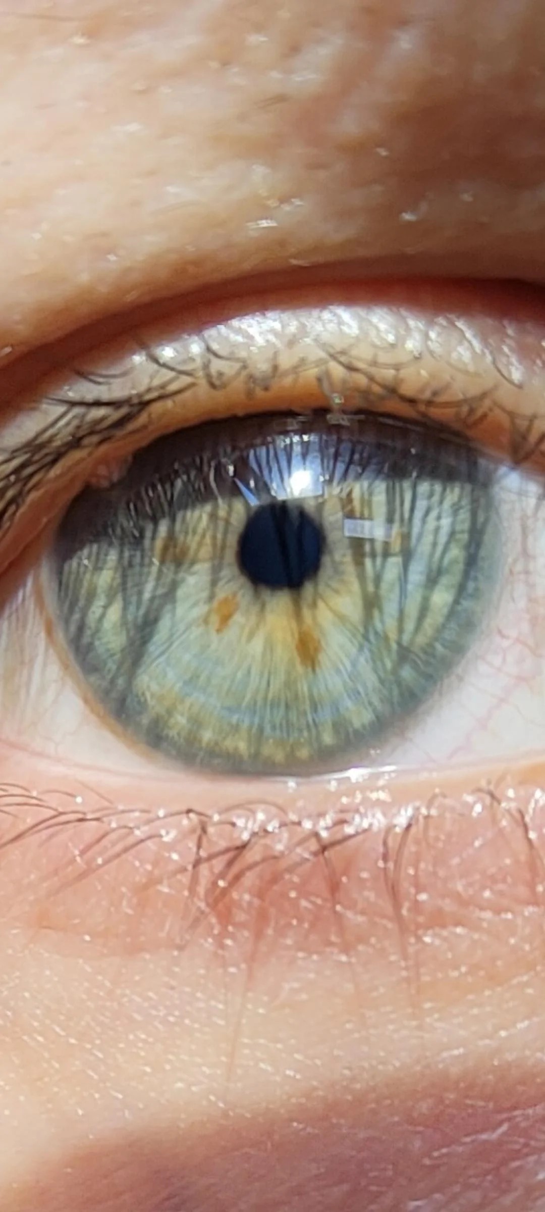 Best Eye Color I ve Ever Seen Looksmax Men s Self Improvement Best Eye Color I ve Ever Seen Looksmax Men s Self Improvement