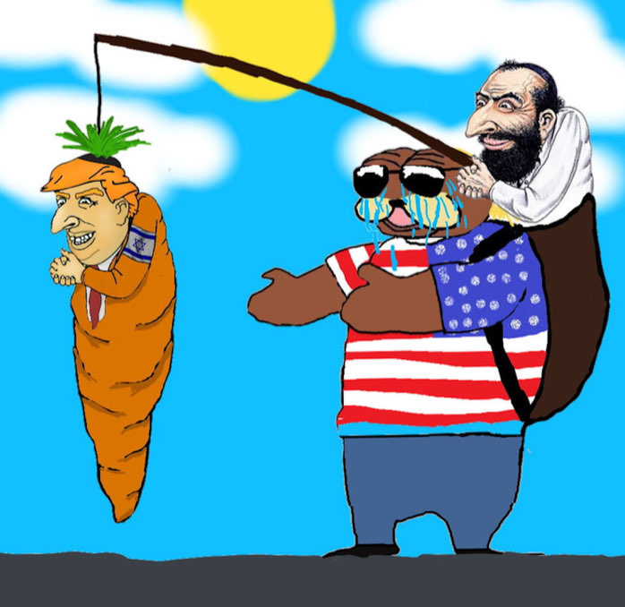 Signal 2024 11 16 12 05 04 388