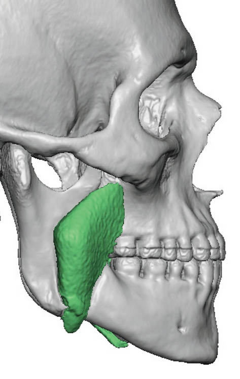 Screenshot 2025 01 10 202906