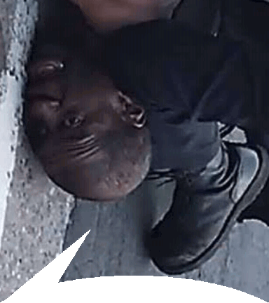 4191421 B9ABD91F 381E 4E19 A2E8 2BE5248D6A28 1